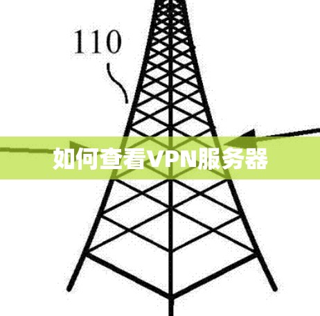 如何查看VPN服务器