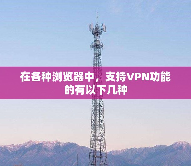 在各种浏览器中，支持VPN功能的有以下几种