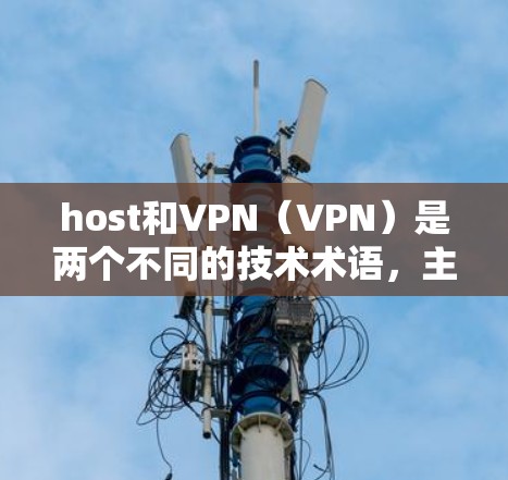 host和VPN（VPN）是两个不同的技术术语，主要应用于网络和信息技术领域。以下是它们的详细区别