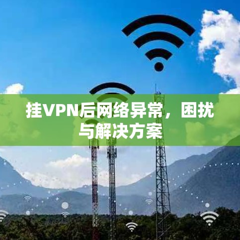 挂VPN后网络异常，困扰与解决方案