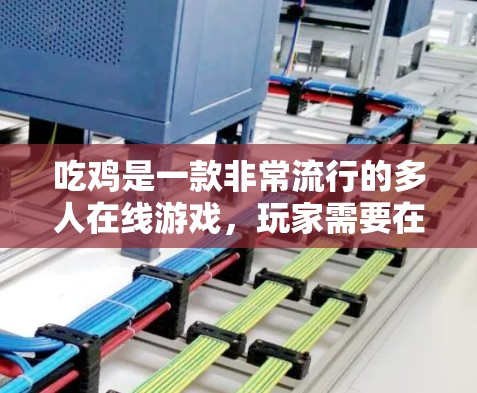 吃鸡是一款非常流行的多人在线游戏，玩家需要在网络上与他人对战。虽然VPN在某些情况下可能对游戏安全有所帮助，但在吃鸡这样的高风险游戏中，使用VPN通常会带来很多负面影响。以下是一些需要注意的事项