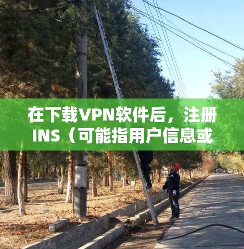 在下载VPN软件后，注册INS（可能指用户信息或insider）的步骤如下