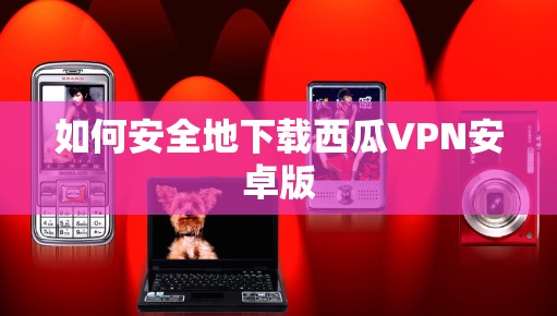 如何安全地下载西瓜VPN安卓版